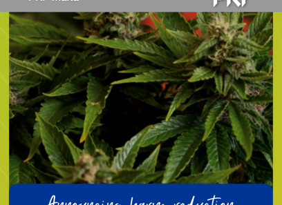 Announcing harm reduction associations - a novelty in Malta