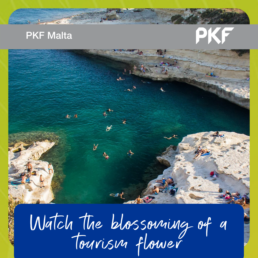 Watch the blossoming of a tourism flower